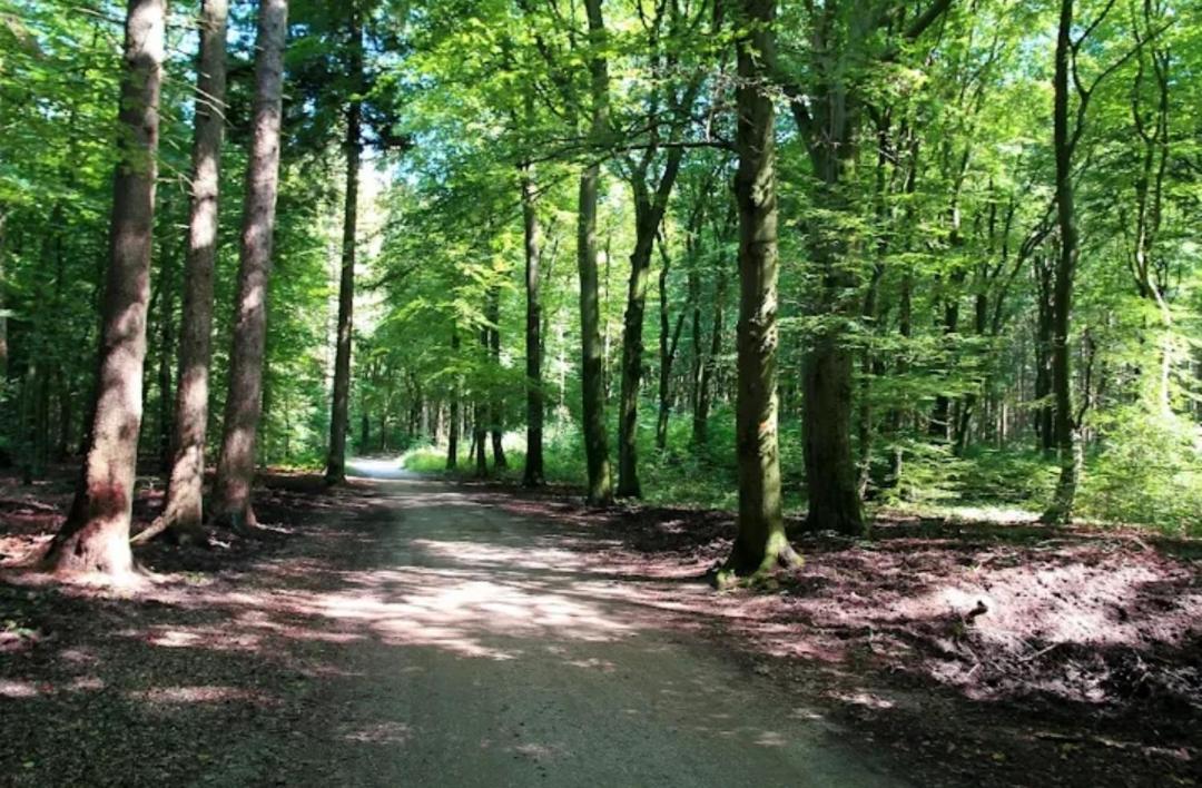 Chalet Harmony Prive Wellness Putten Zewnętrze zdjęcie